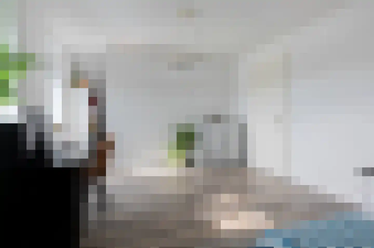 Kiekendief 28 Blauwestad thumbnail 45