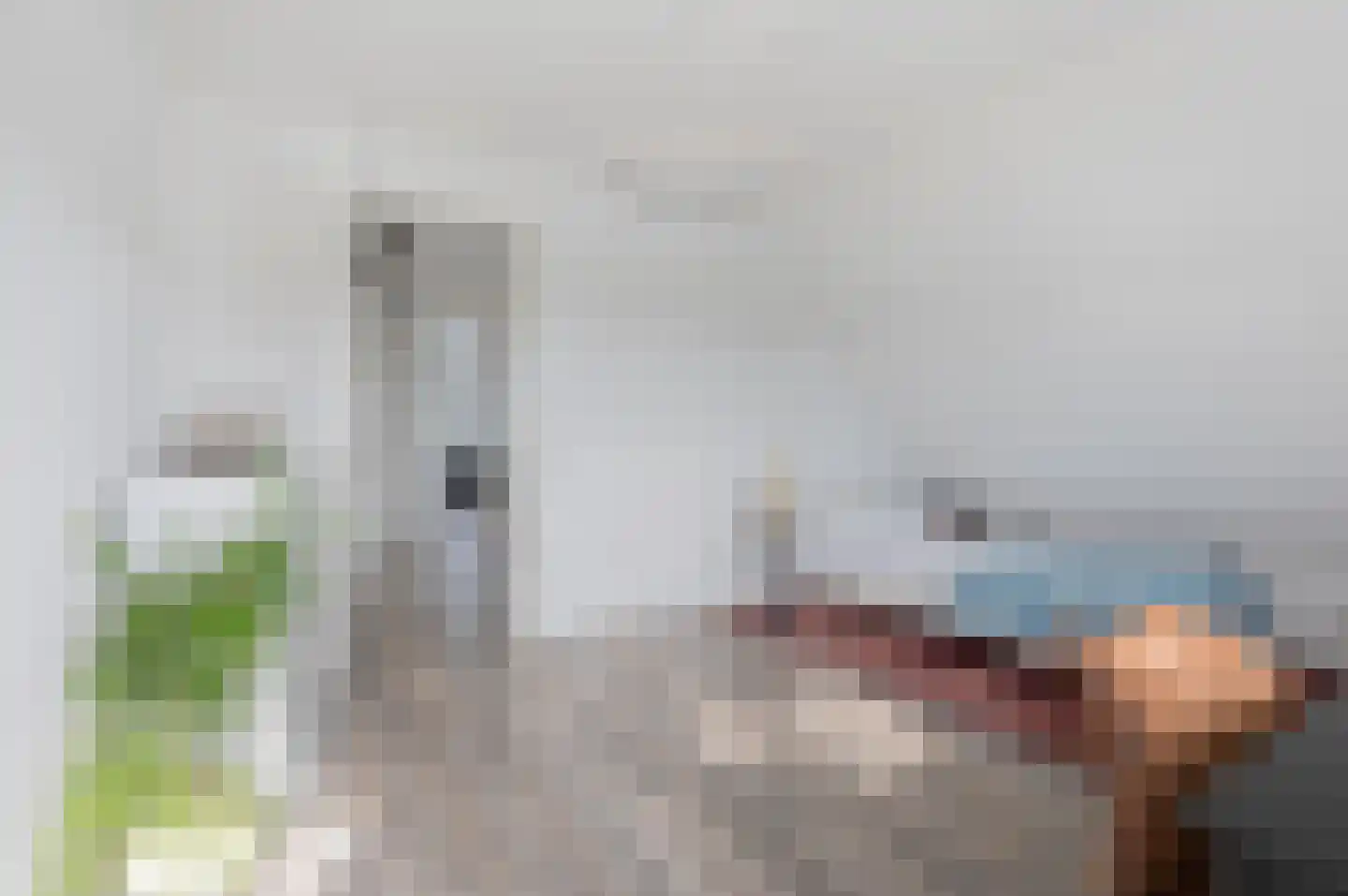 Kiekendief 28 Blauwestad thumbnail 46