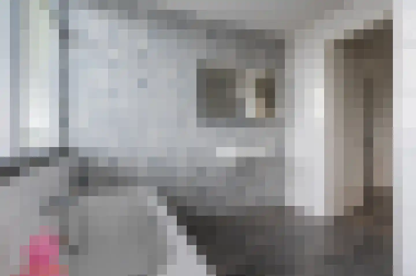 Kiekendief 28 Blauwestad thumbnail 55