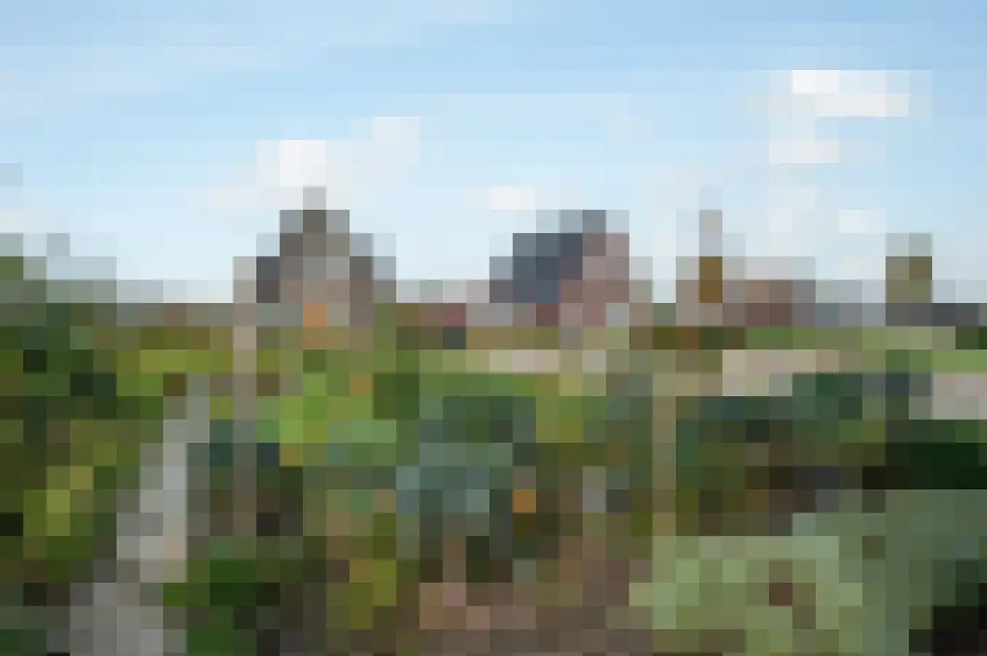 Kiekendief 28 Blauwestad thumbnail 60