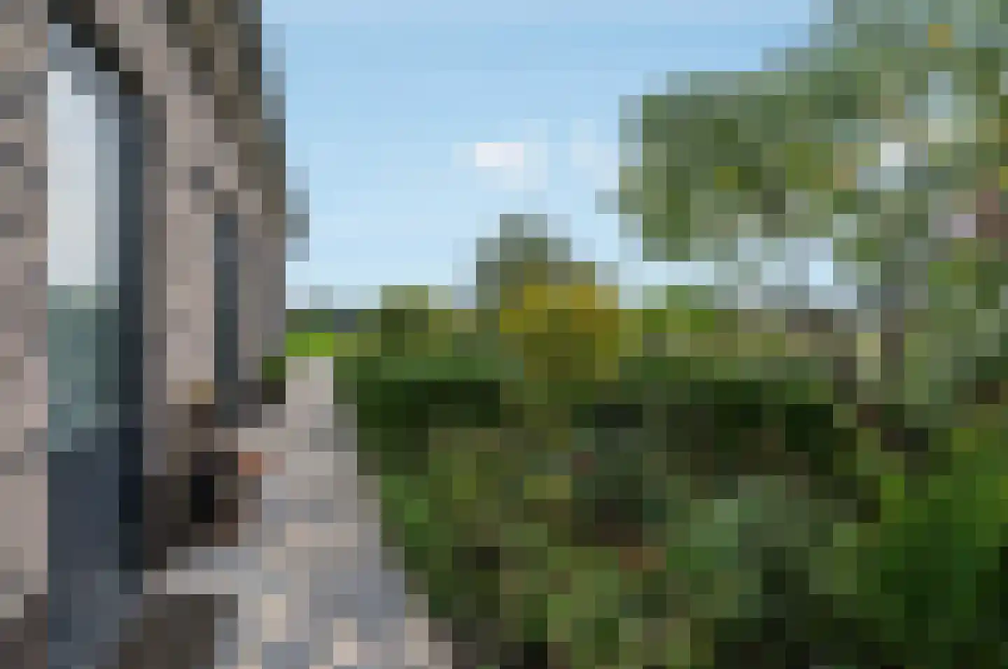 Kiekendief 28 Blauwestad thumbnail 64