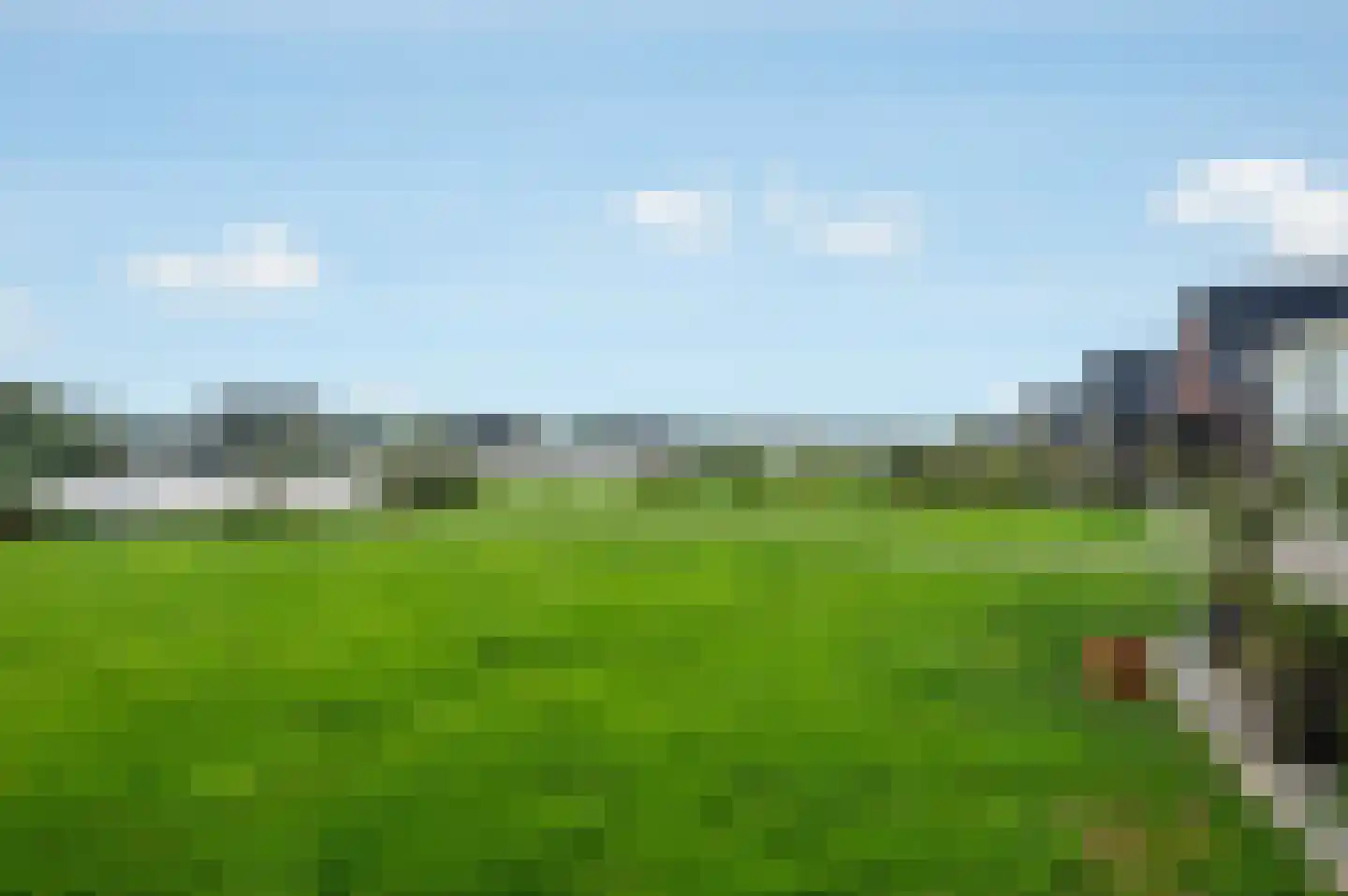Kiekendief 28 Blauwestad thumbnail 70