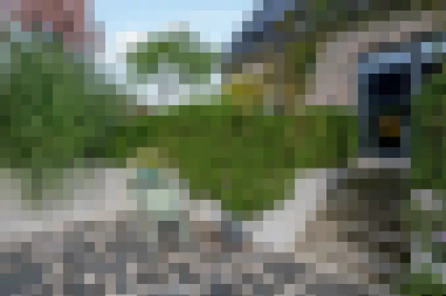 Kiekendief 28 Blauwestad thumbnail 76