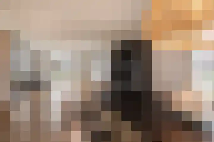 Kiekendief 29 Blauwestad thumbnail 12