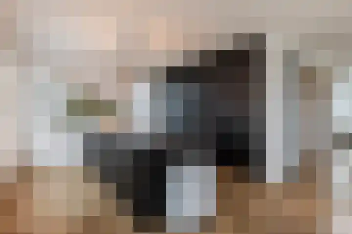 Kiekendief 29 Blauwestad thumbnail 17