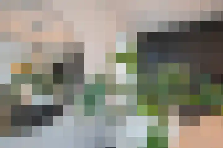 Kiekendief 29 Blauwestad thumbnail 18