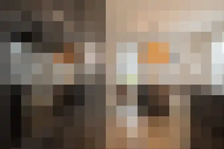 Kiekendief 29 Blauwestad thumbnail 20
