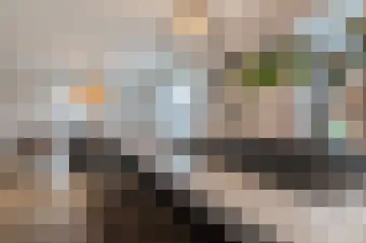 Kiekendief 29 Blauwestad thumbnail 21