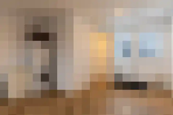 Kiekendief 29 Blauwestad thumbnail 22