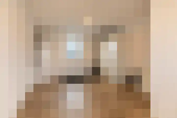 Kiekendief 29 Blauwestad thumbnail 23