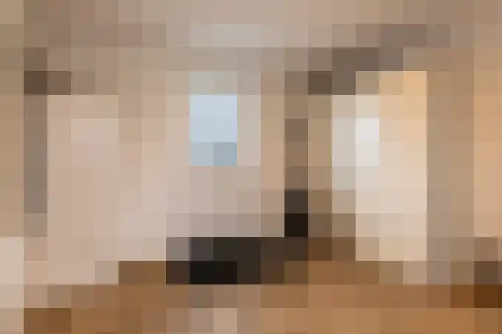 Kiekendief 29 Blauwestad thumbnail 24