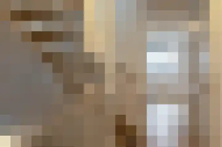 Kiekendief 29 Blauwestad thumbnail 27