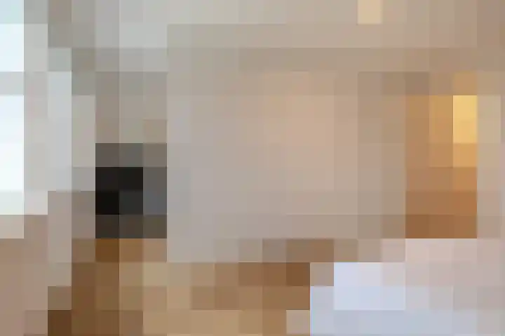 Kiekendief 29 Blauwestad thumbnail 28