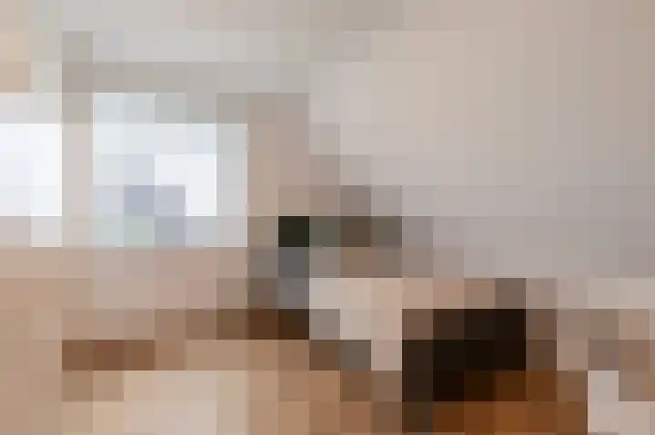 Kiekendief 29 Blauwestad thumbnail 31