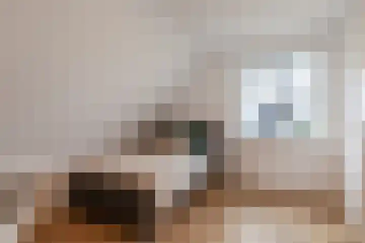 Kiekendief 29 Blauwestad thumbnail 32