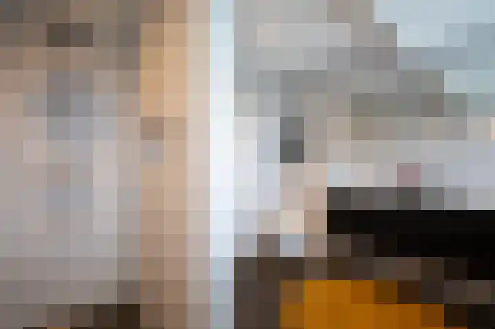 Kiekendief 29 Blauwestad thumbnail 33