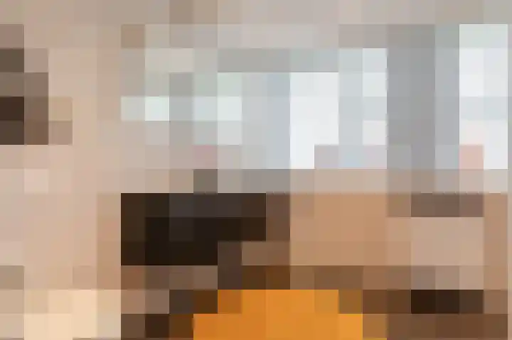 Kiekendief 29 Blauwestad thumbnail 34