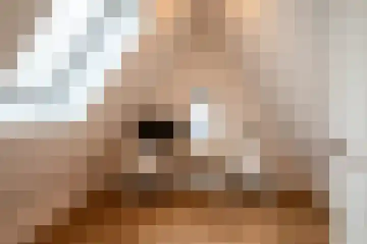 Kiekendief 29 Blauwestad thumbnail 35