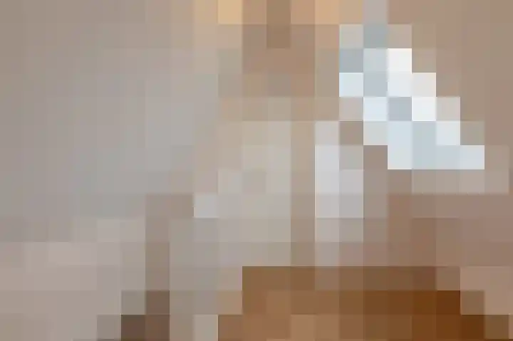 Kiekendief 29 Blauwestad thumbnail 36