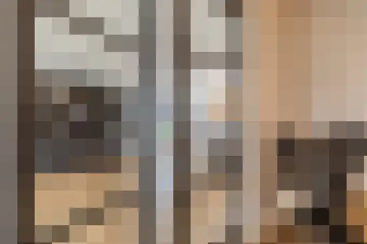 Kiekendief 29 Blauwestad thumbnail 4