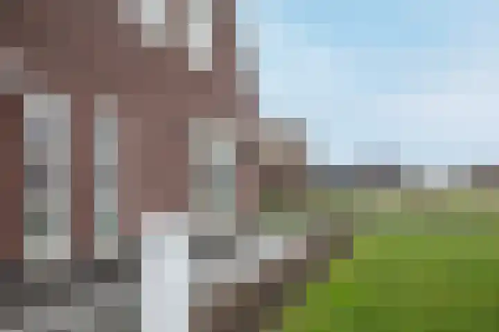 Kiekendief 29 Blauwestad thumbnail 40