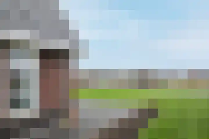 Kiekendief 29 Blauwestad thumbnail 41