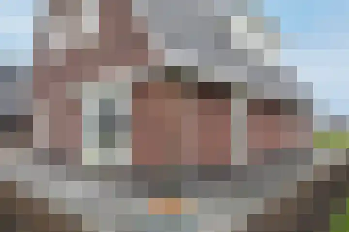 Kiekendief 29 Blauwestad thumbnail 51