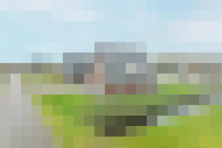 Kiekendief 29 Blauwestad thumbnail 55