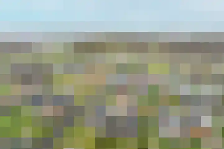 Kiekendief 29 Blauwestad thumbnail 56