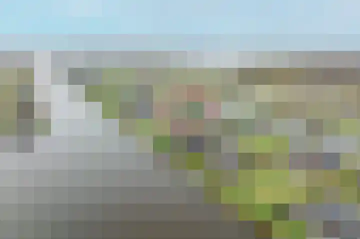 Kiekendief 29 Blauwestad thumbnail 57