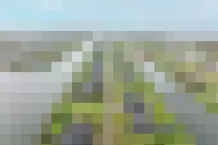 Kiekendief 29 Blauwestad thumbnail 58