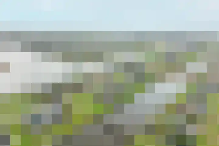 Kiekendief 29 Blauwestad thumbnail 59