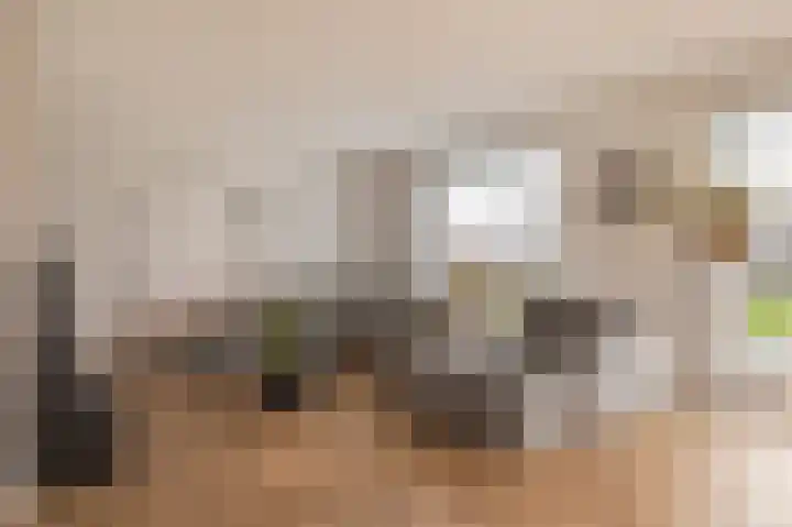 Kiekendief 29 Blauwestad thumbnail 6