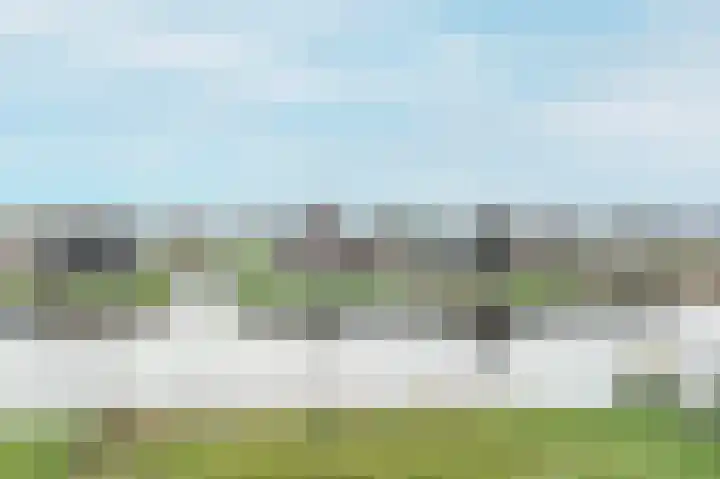 Kiekendief 29 Blauwestad thumbnail 63