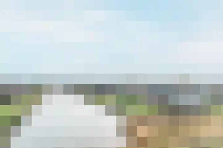 Kiekendief 29 Blauwestad thumbnail 64