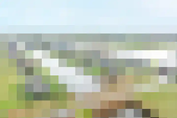 Kiekendief 29 Blauwestad thumbnail 65