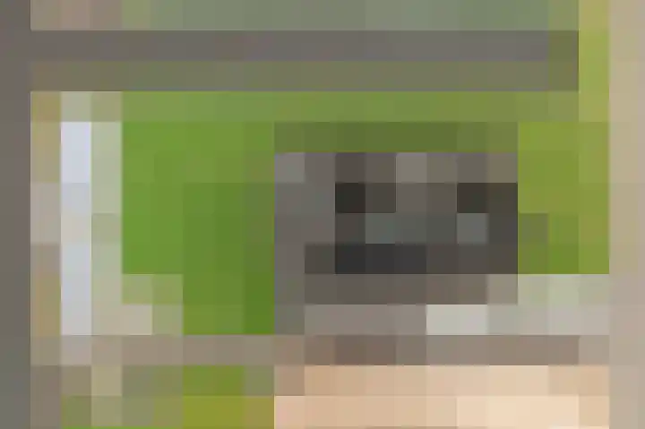 Kiekendief 29 Blauwestad thumbnail 66