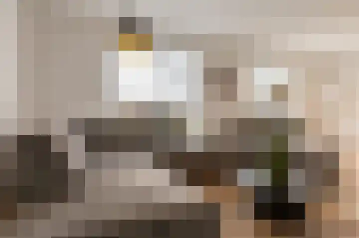 Kiekendief 29 Blauwestad thumbnail 7