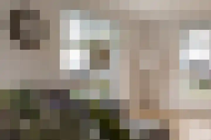 Kiekendief 29 Blauwestad thumbnail 9