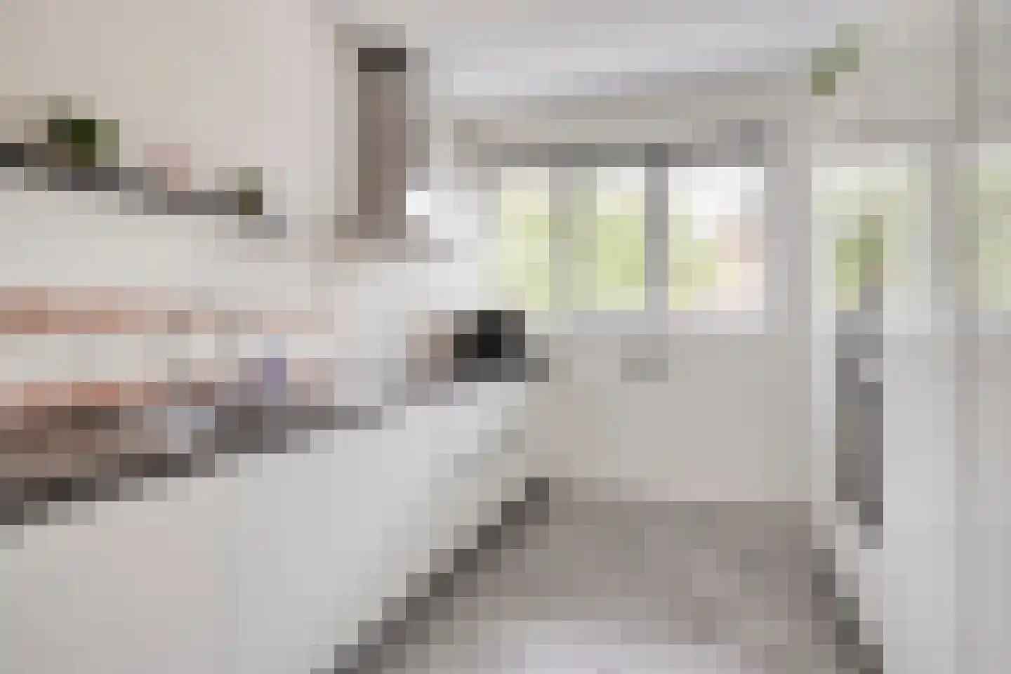 Kiekendief 3 Lichtenvoorde thumbnail 19