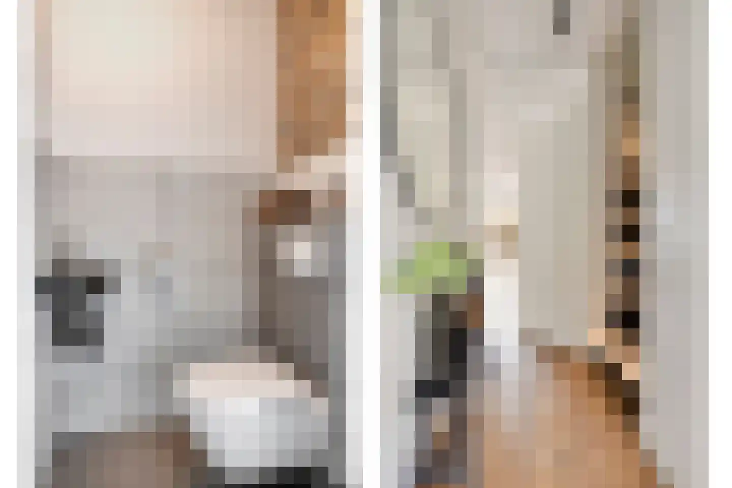 Kiekendief 3 Lichtenvoorde thumbnail 23