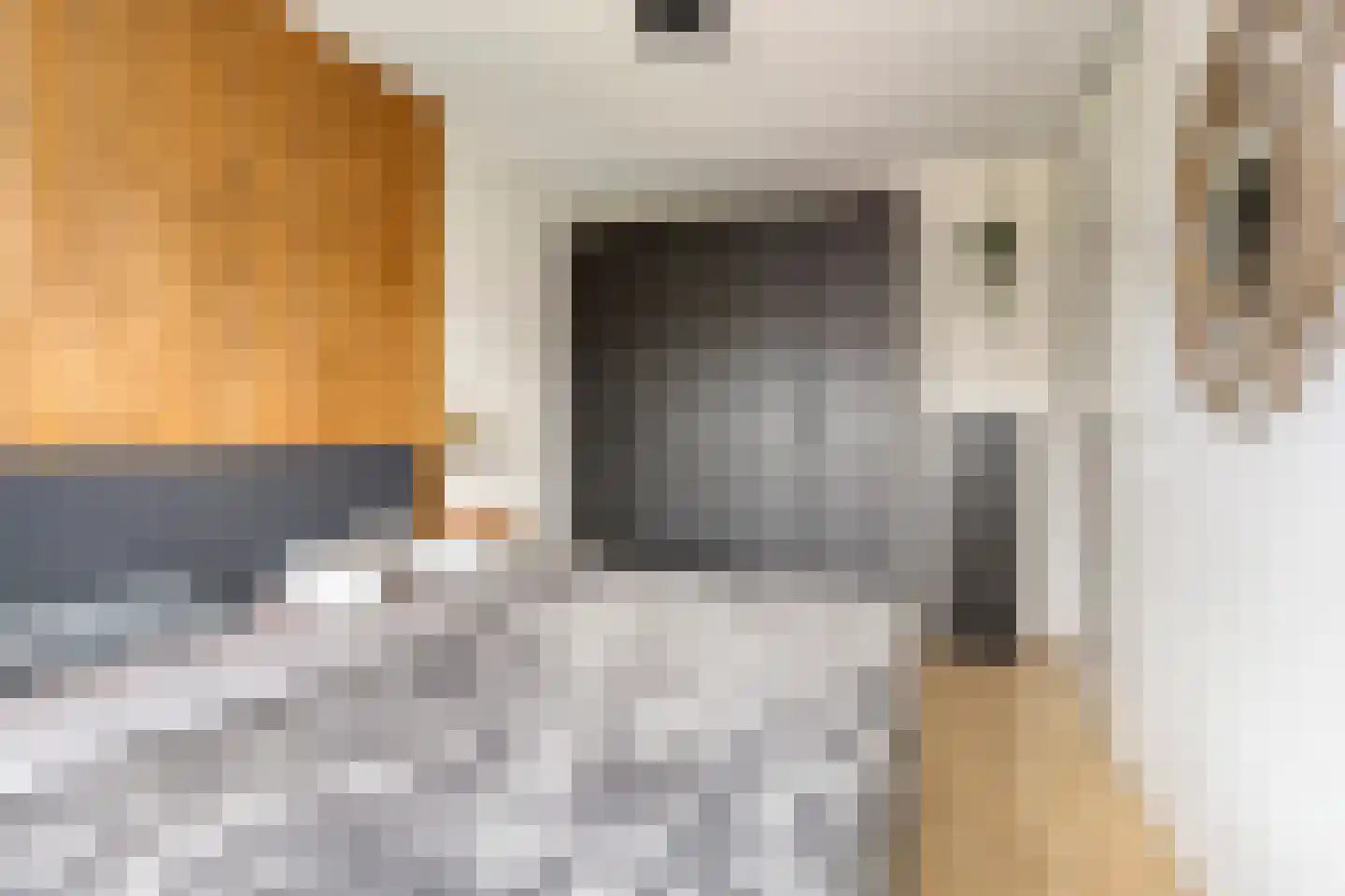Kiekendief 3 Lichtenvoorde thumbnail 26
