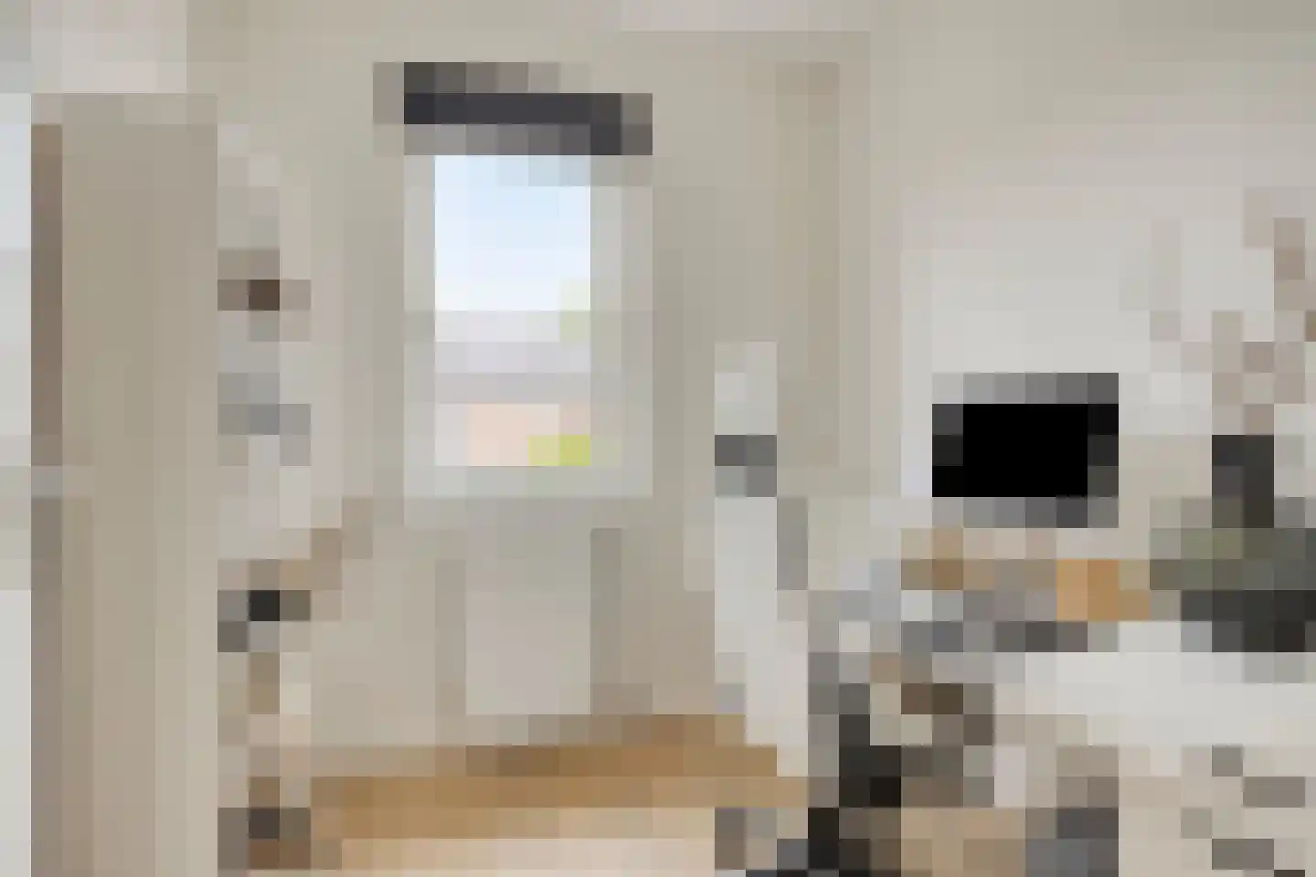 Kiekendief 3 Lichtenvoorde thumbnail 27