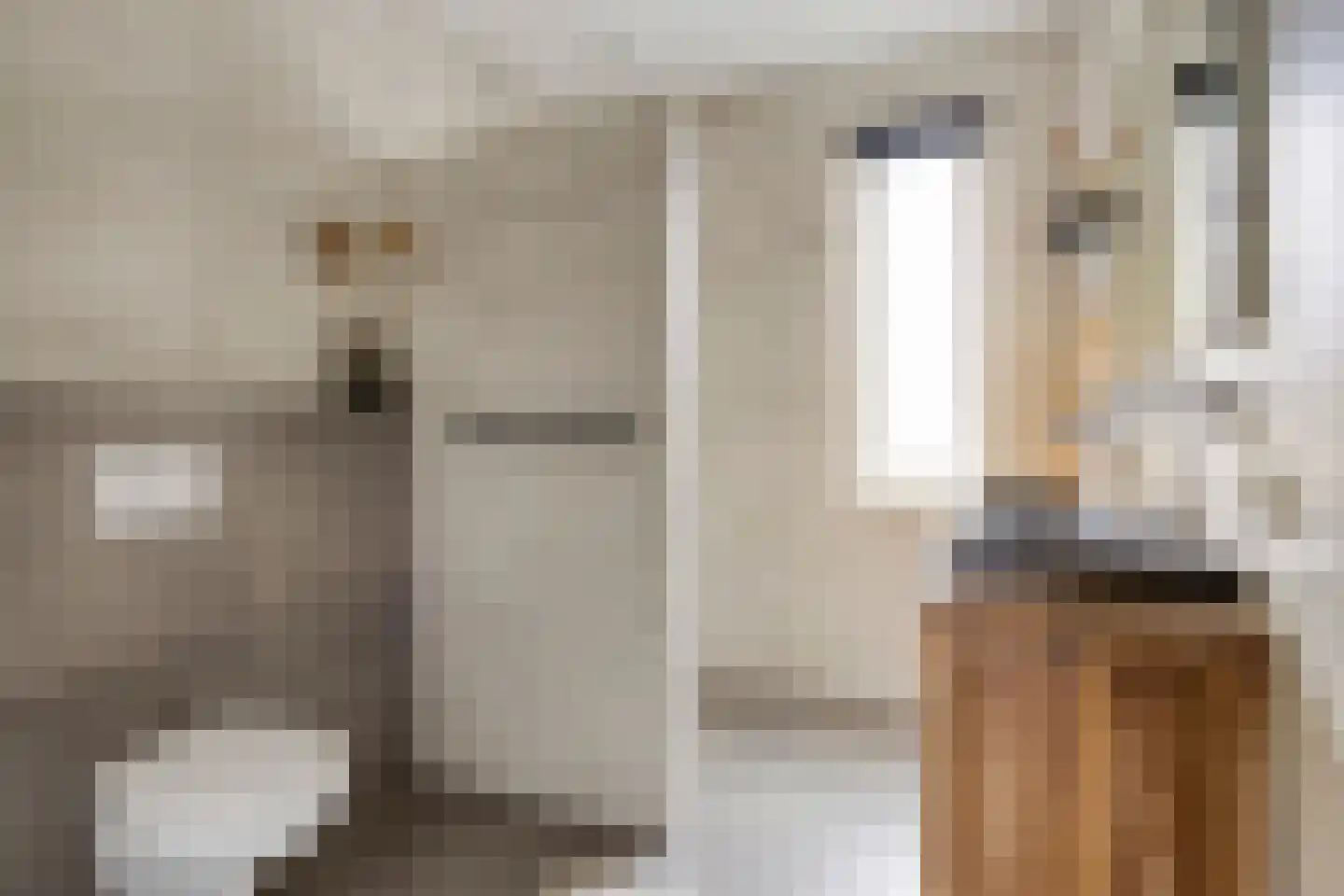 Kiekendief 3 Lichtenvoorde thumbnail 29