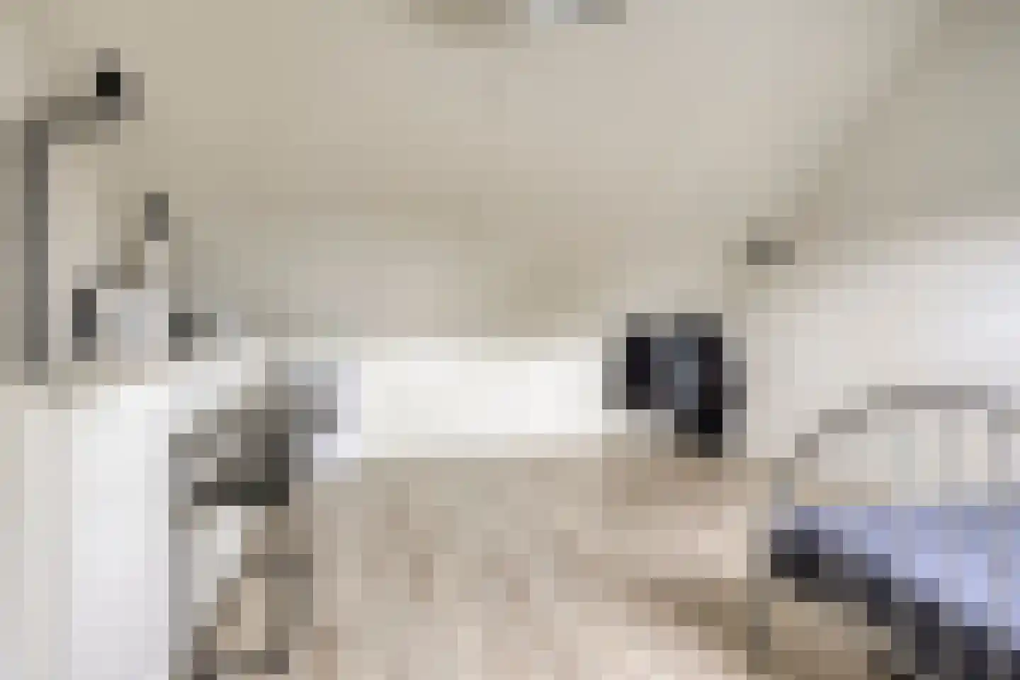 Kiekendief 3 Lichtenvoorde thumbnail 32