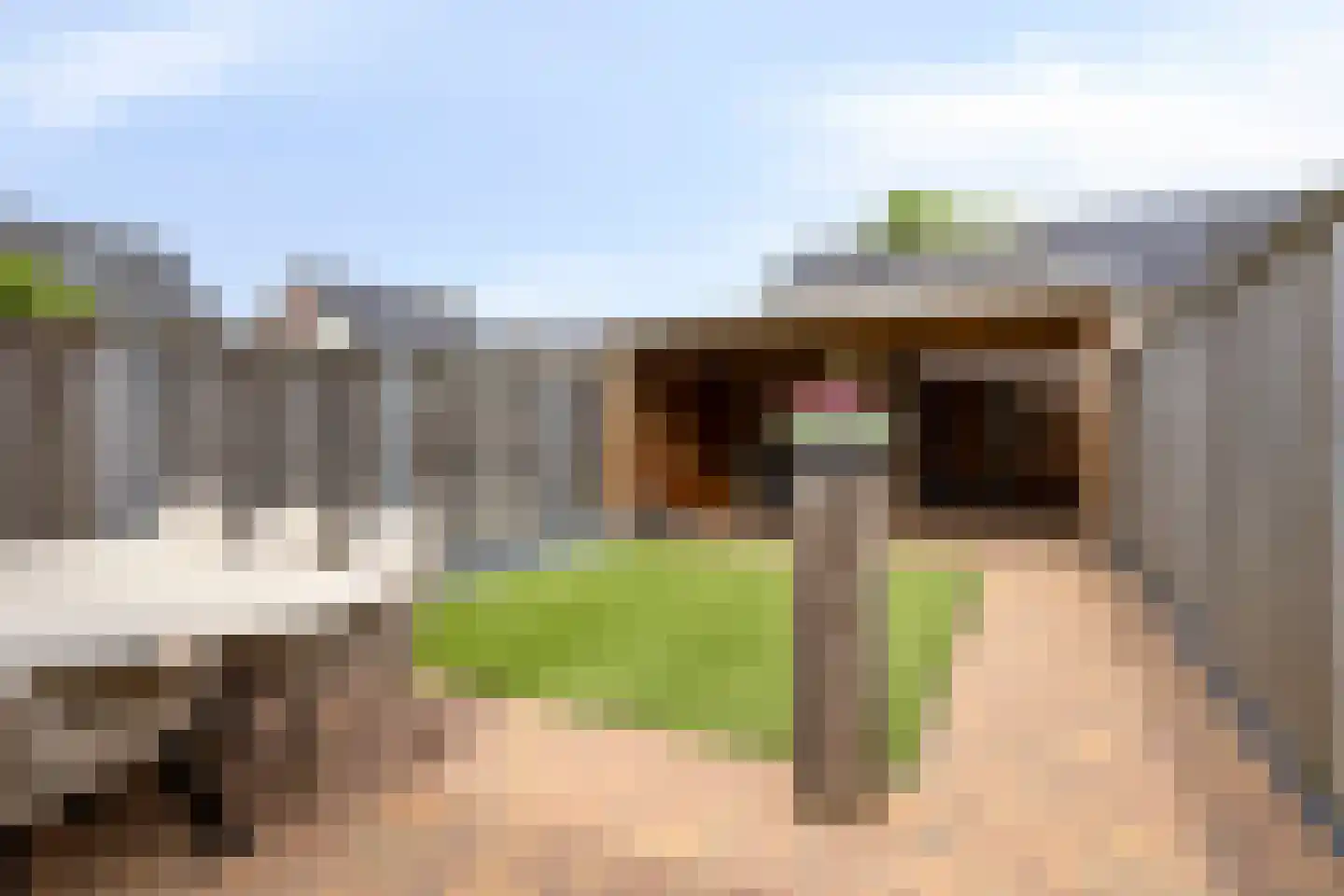 Kiekendief 3 Lichtenvoorde thumbnail 35
