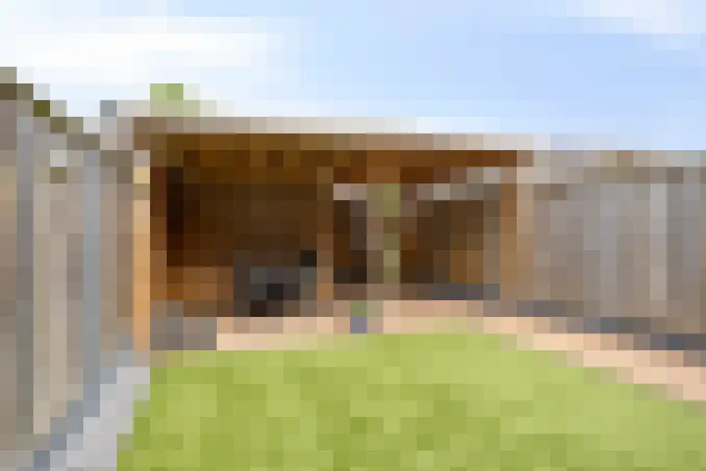 Kiekendief 3 Lichtenvoorde thumbnail 36