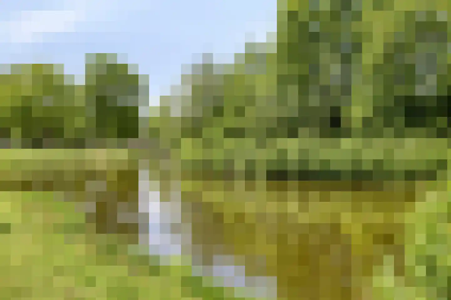 Kiekendief 3 Lichtenvoorde thumbnail 42