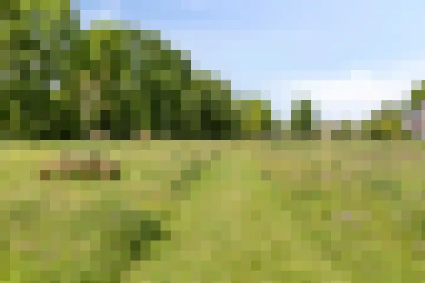 Kiekendief 3 Lichtenvoorde thumbnail 43