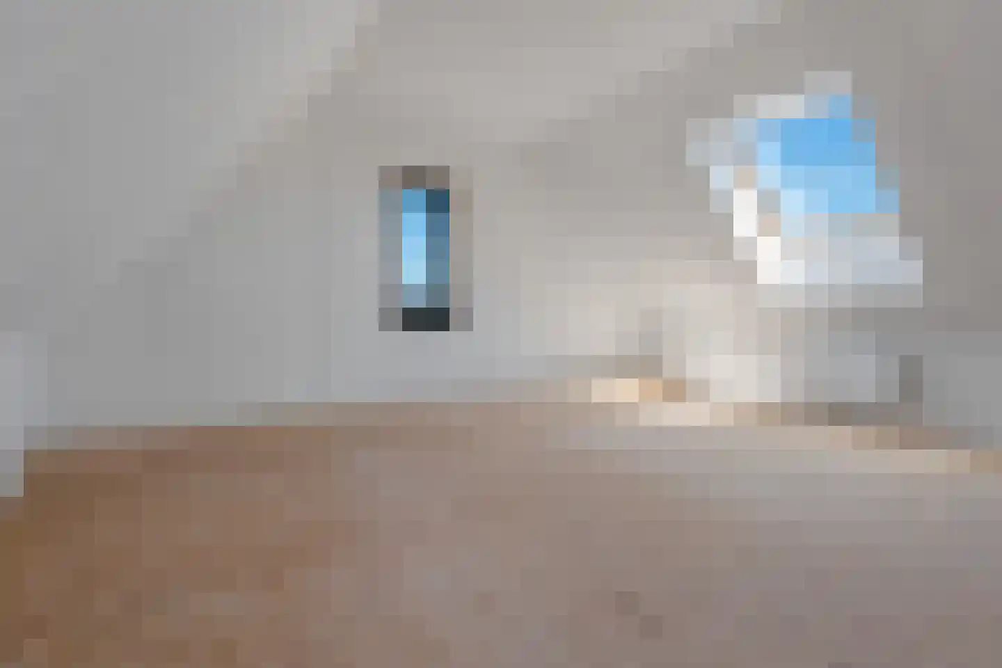 Kiekendief 51 Blauwestad thumbnail 34